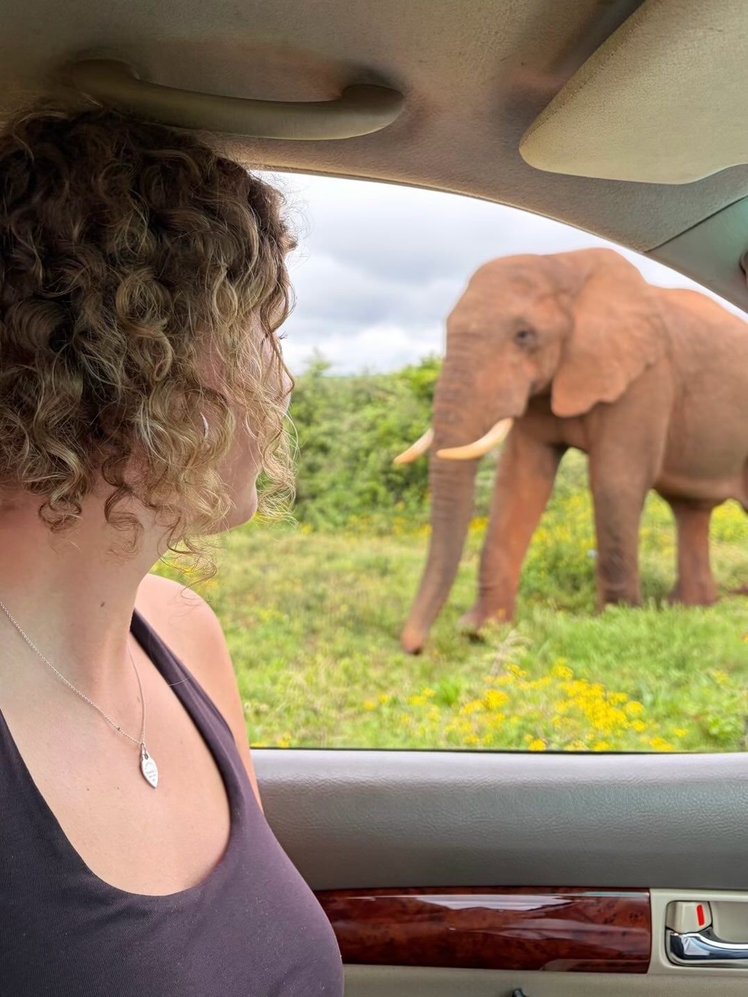 Photo d'un visiteur d'un circuit à Parc national des Éléphants d'Addo