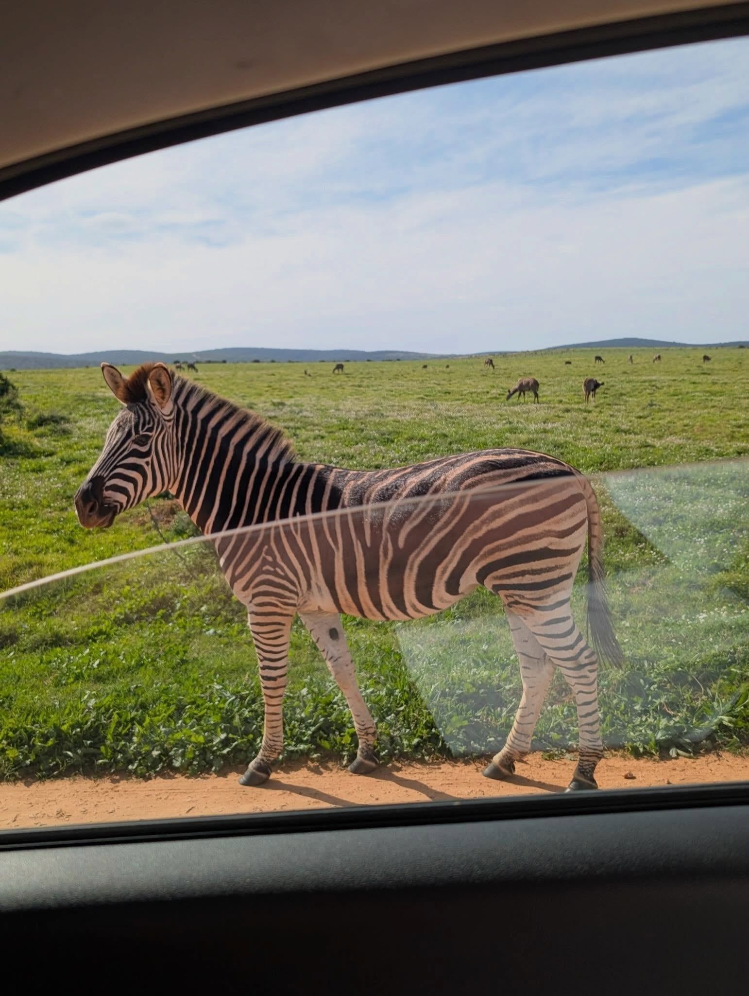Photo d'un visiteur d'un circuit à Parc national des Éléphants d'Addo