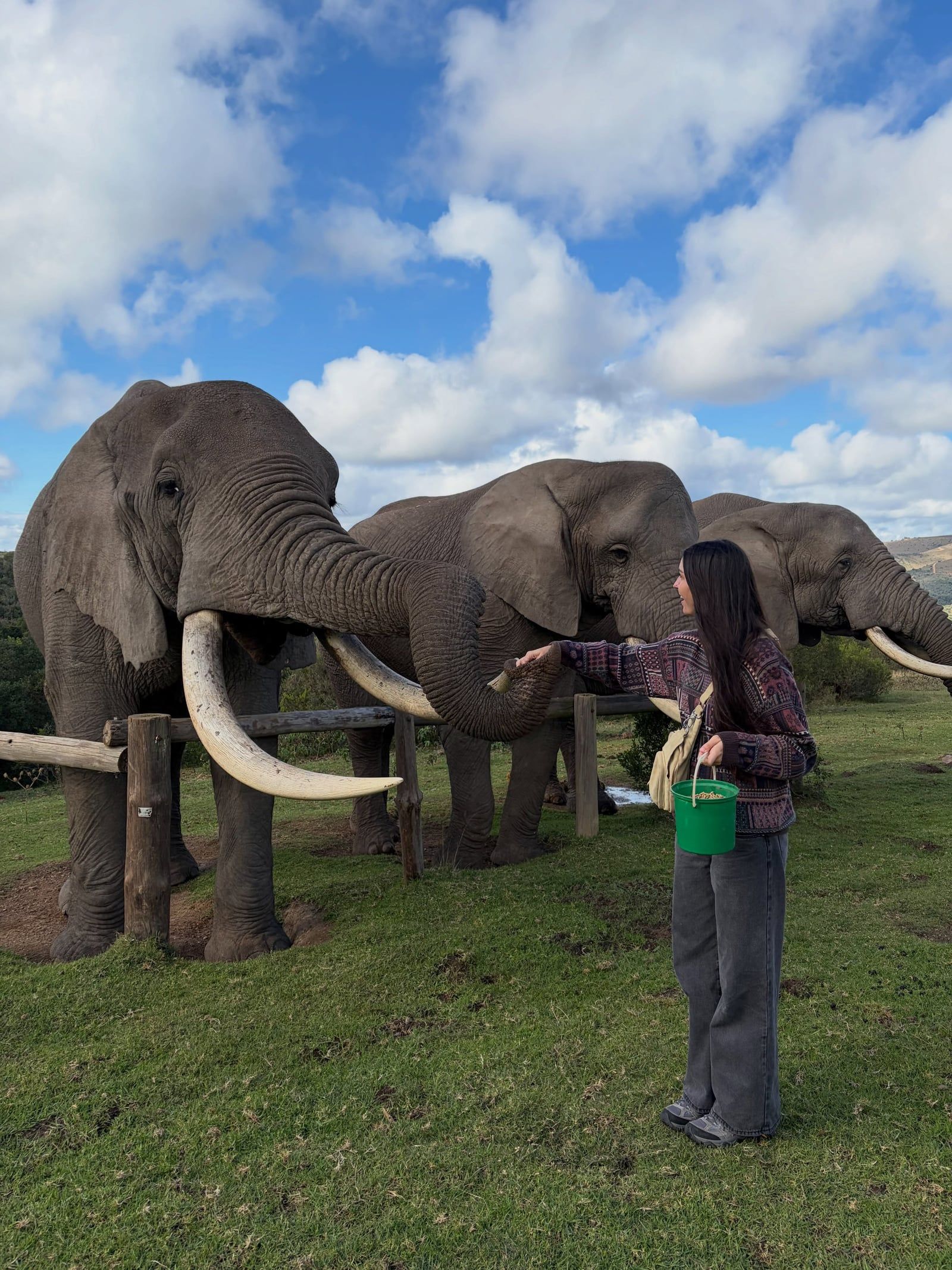 Photo d'un visiteur d'un circuit à Parc national des Éléphants d'Addo