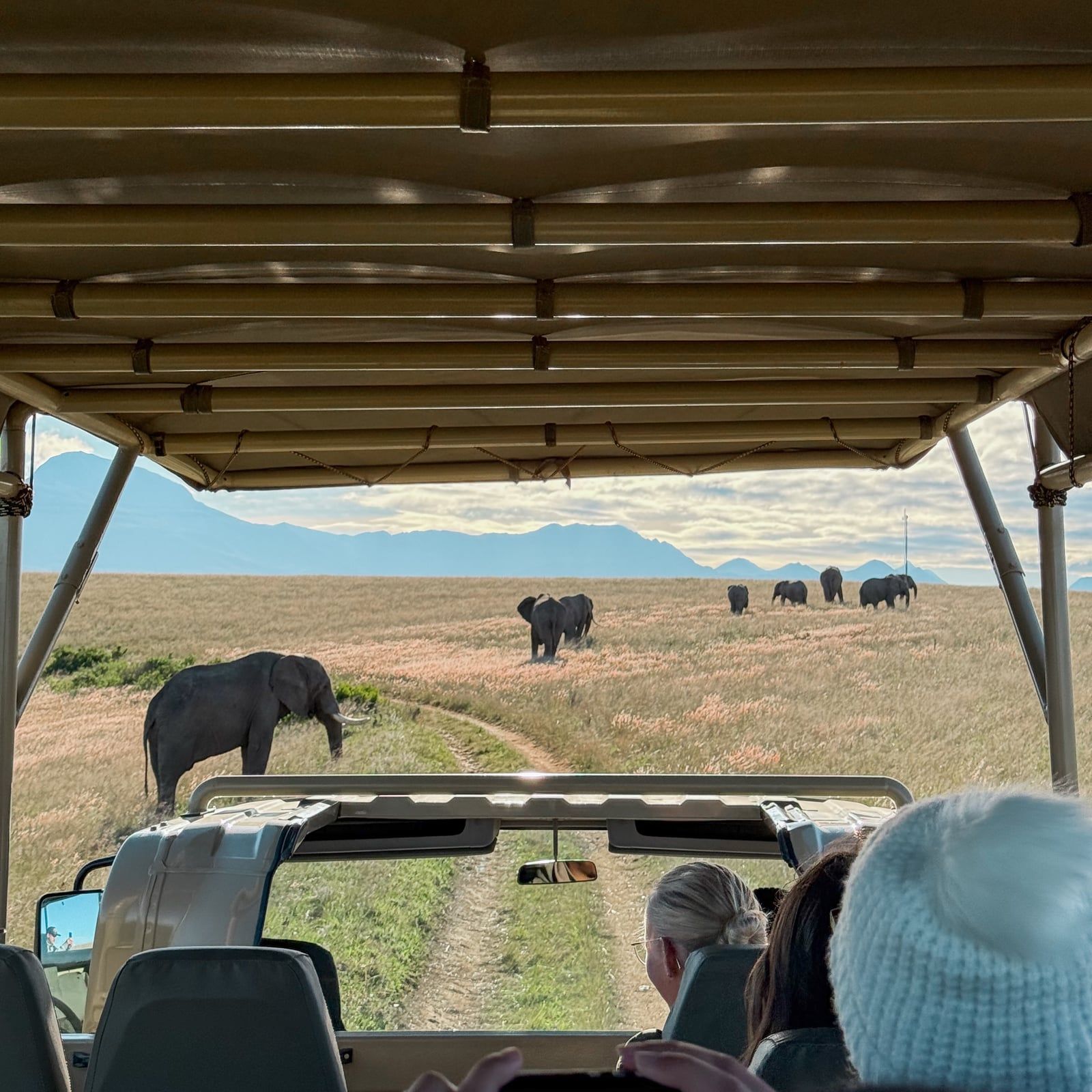 Photo d'un visiteur d'un circuit à Parc national des Éléphants d'Addo